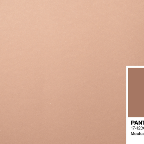 Mocha Mousse, a cor Pantone de 2025. Por que você deve conhecer a cor do ano e usá-la a seu favor? #48